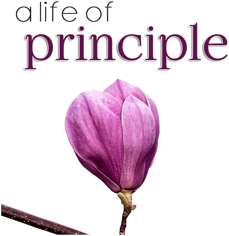 FREE A Life of Principle Notes